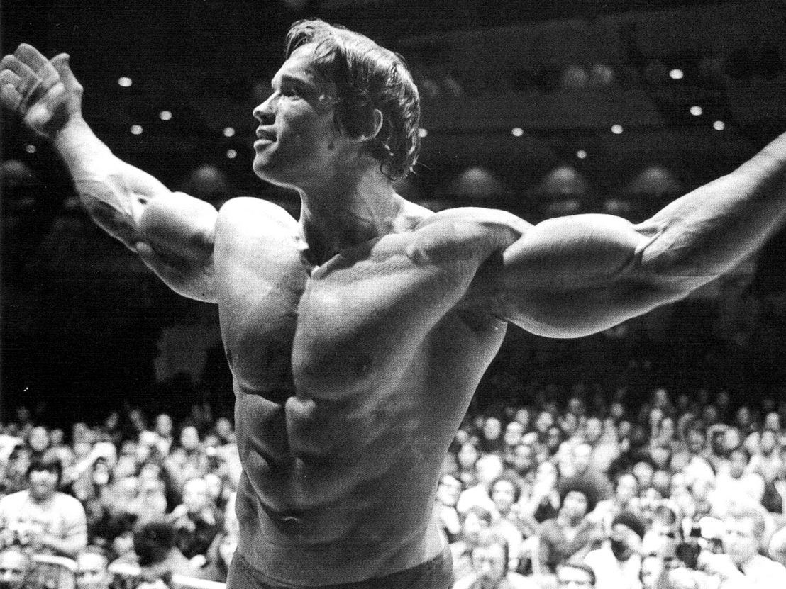 About Us - The Gym Pro Arnold Schwarzenegger Pic