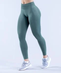 Seamless spandex gym leggings for workout | the gym pro Seamless Spandex Gym Leggings For Workout