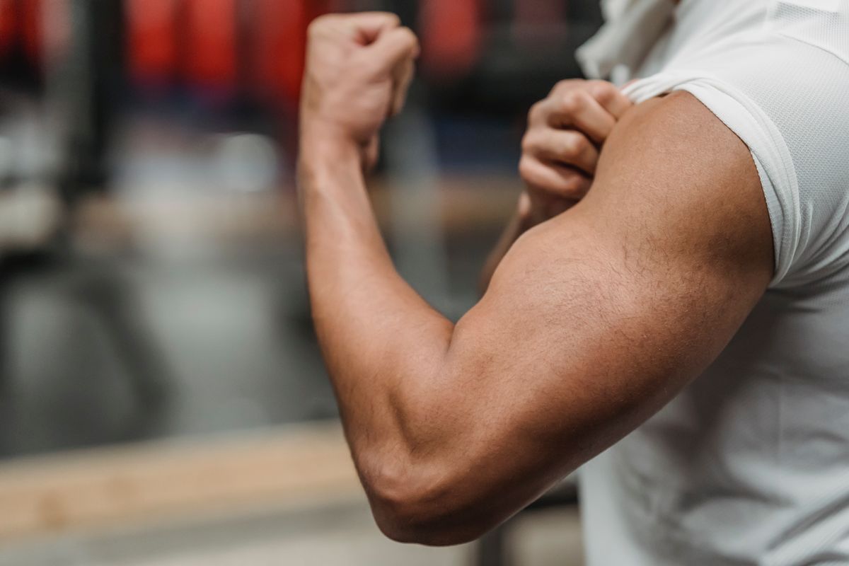 Best forearm workout: grip and muscle-building plan | the gym pro Close-Up Of A Flexed Upper Arm